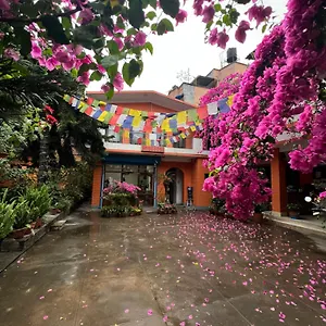 sun-rise-cottage.hotels-kathmandu.com/